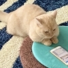 ゴールデンウィーク営業しています