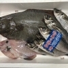 本日も鮮魚たっぷり入荷しました！