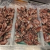 本日入荷のホタルイカ、房州の魚と一緒にどうぞ