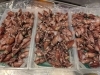 「本日入荷のホタルイカ、房州の魚と一緒にどうぞ」