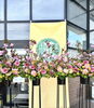 ダリアと桜オンパレード！「祝！20周年！」