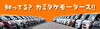 カミタケモータースの魅力「知ってる？カミタケモータース！」