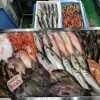 📣本日入荷のお魚情報🐟