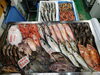 令和8年4月21日「📣本日入荷のお魚情報🐟」