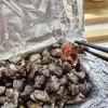 炭火焼と柚子胡椒の名コンビ！香ばしさをキリッと引き立てます