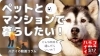 「【ハナイの動画コラム】ペットとマンションで暮らしたい！押さえたい物件への視点とは？」