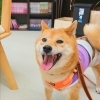 今日のお友達