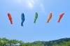 青空に泳ぐ鯉のぼりの様子「春は歯ぐきトラブルに注意を ー 季節の変わり目こそ歯周病予防を見直しましょう」