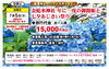 7月5日出発！あじさいとパワースポット巡り「出発決定コースのご案内🚌【村上・胎内・新発田発のツアー】」