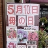 母の日ギフトのご予約はお早めにどうぞ