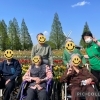 春の花観賞