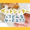 【初めての方向け】お家がいちばん安心。江戸川区で頼める「ペットシッター」の基本とメリット