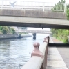 外に出てリフレッシュ！河川敷＋公園ウォーキングプログラムのご紹介