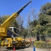 樹木撤去作業　in枚方市