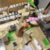 “風雲たけし城”を再現⁉️🔥超難関アスレチック誕生✨アトリエTAO体験レポ🎨【創作は無限😆葛飾区の習い事アート教室🎨】
