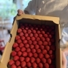 カフェメニューの新作✨️苺パフェ🍓