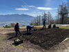 「入笠すずらん山野草公園（標高1,780m）で、ドイツすずらんの植え戻し作業を行いました」