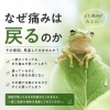 なぜ痛みは戻るのか｜枚方市・樟葉の整体