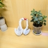 鶴のキス