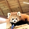 【 伊豆シャボテン動物公園 】