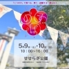 5/9・10「のすぱ」に出店します！せせらぎ公園で本格コーヒーをどうぞ☕🌿