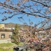 4月23日(木) もりのきより（小樽 ゲストハウス)  