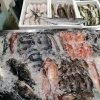 📣本日のお店情報🐟