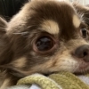 暖かい季節になってきました