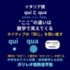 「qui」と「qua」はどう違う？イタリア語の“ここ”の使い分けを解説｜八王子・めじろ台の個別指導『ガリレオ理数進学塾』