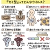新型コロナ『セミ型』とは？