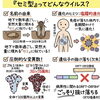 「新型コロナ『セミ型』とは？」