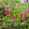 今月の♡わかちあいの会♡のお知らせ