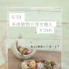 34Garden Flower school〜💚多肉植物の寄せ植え💚〜