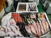 令和8年4月24日 店内「📣本日のお魚情報🐟」