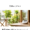 ケアの前に、緑のそばで心をととのえる時間を