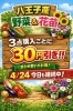 本日も30円引き継続中！お早めにどうぞ！「八王子産　野菜&お花の苗　3点購入ごとに30円引き　4/24今日も継続中です。たけのこ、原木しいたけ、いろんなレタス、ケール、ベビーリーフ、八玉子たまご、パッションフルーツの苗、マリーゴールド、ミニトマトの苗、アゲラタムなどあります。八日町」