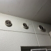 コウモリが換気口から侵入