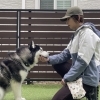 愛犬と一緒にチャレンジ！あごのせ10秒ゲーム開催中🐶