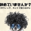 「そのウィッグ、しまったままになっていませんか？カットで変わる可能性があります」【横浜センター南駅・個室美容室 FRINGE～フリンジ～】