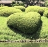 心安らぐ日本庭園でリフレッシュ「GWのお出かけに◎栗林公園＆讃岐うどん、そのあとは当店でリセットを」