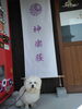 神楽荘看板前「【G.W５月１，２，５日】駆け込みご予約できます！【出雲大社近くの宿】」