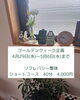 ゴールデンウィーク限定ショートコース「ゴールデンウィーク企画⭐︎自宅サロンCamellia（カメリア)でメンテナンスはいかがでしょう。」
