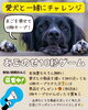愛犬との絆を深める10秒チャレンジ「愛犬と一緒にチャレンジ！あごのせ10秒ゲーム開催中🐶」