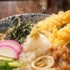 特大えび天が主役！えび天おろしうどん