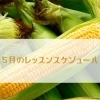 5月料理教室スケジュール公開｜ご予約受付スタート🎏