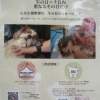 4月26日は『ご神馬ふれあい感謝デー』！