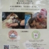 4月26日は『ご神馬ふれあい感謝デー』！