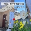 一関に爽やかな春の風