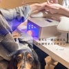 愛犬と一緒に通える完全個室ネイルサロン、はじまります