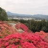 行徳でお疲れの方へ｜自然でリセットした後は体のメンテナンスも